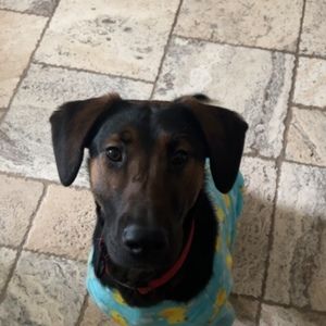 Meet your Posher, Jaselle